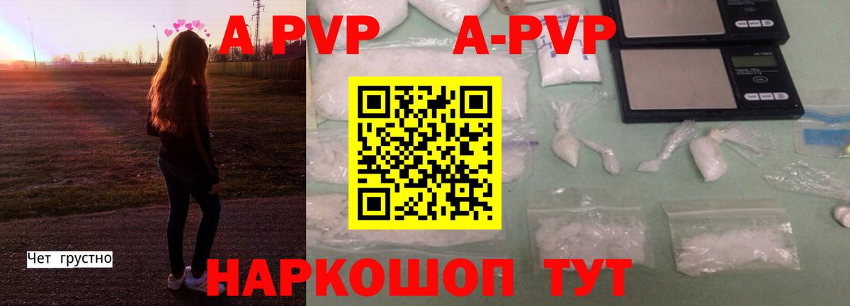 APVP СК Советская Гавань