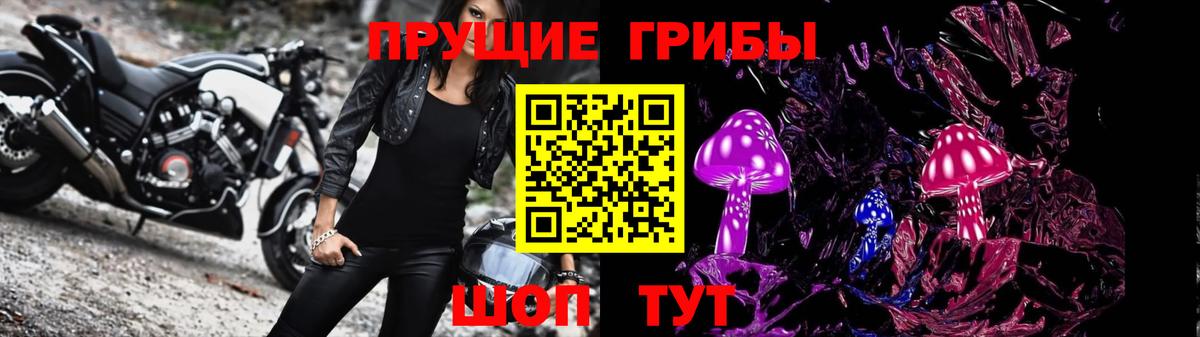 Галлюциногенные грибы Cubensis Советская Гавань
