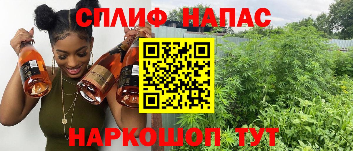 Канабис White Widow Советская Гавань
